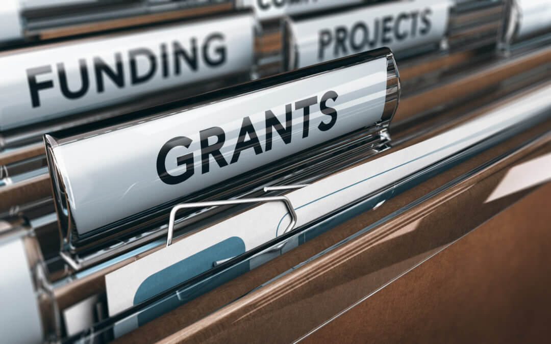 Are You a Canadian Minority? Here Are Small Business Grants For You