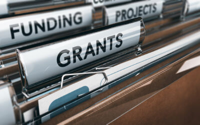 Are You a Canadian Minority? Here Are Small Business Grants For You