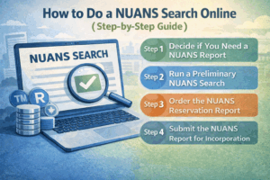Step-by-step infographic showing how to do a NUANS search online for incorporating a Named Company.