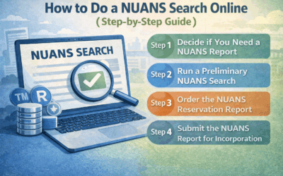 How to Do a NUANS Search Online (Step-by-Step Guide)